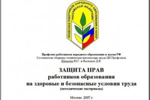 Щемелев Ю.Г., Васильев Д.В. Защита прав работников образования на здоровые и безопасные условия труда