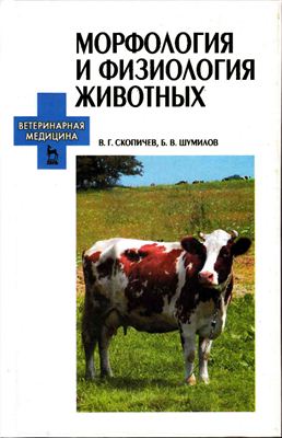Скопичев В.Г., Шумилов Б.В. Морфология и физиология животных