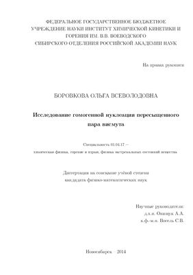 Боровкова О.В. Исследование гомогенной нуклеации пересыщенного пара висмута