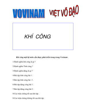 Vovinam Việt Võ Đạo Khí công. Вовинам Вьет Во Дао Цигун