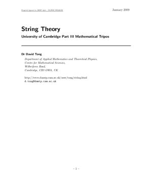 Tong D. String Theory