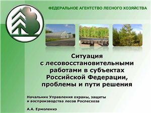 Ситуация с лесовосстановительными работами в субъектах Российской Федерации, проблемы и пути решения