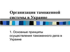 Организация таможенной системы в Украине