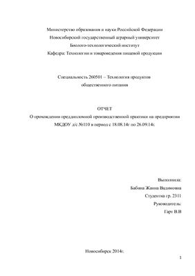 О прохождении преддипломной производственной практики на предприятии МКДОУ д/с №110