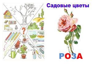 Лексическая тема Комнатные и садовые цветы