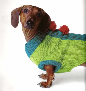 Eaton J. PuppyKnits. Вязаная одежда для собак