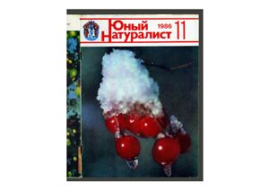 Юный натуралист 1986 №11