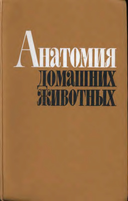Акаевский А.И., Юдичев Ю.Ф. Анатомия домашних животных