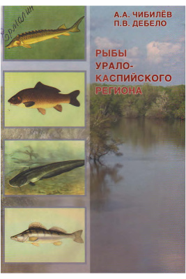 Чибилев А.А., Дебело П.В. Рыбы Урало-Каспийского региона