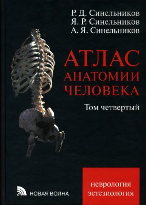 Синельников Р.Д. Атлас анатомии человека. Том 4