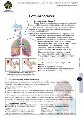 European Lung Foundation ( Европейский пульмонологический фонд) для широкой общественности, пациентов и политических деятелей