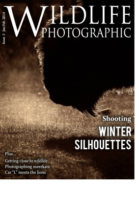 Wildlife Photographic 2014 №01-02