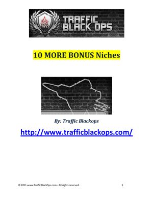 10 more bonus niches