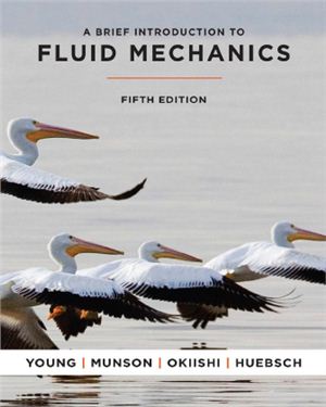 Young D.F., Munson B.R., Okiishi T.H. et al. A Brief Introduction To Fluid Mechanics