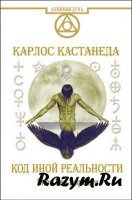 Бирсави Я. Кастанеда. Код иной реальности