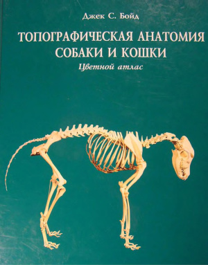 Бойд Дж.С., Патерсон К., Мэй А.Х. Топографическая анатомия собаки и кошки