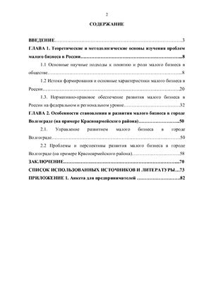 Курсовая работа: Проблемы и перспективы развития малого Бизнеса в России 2