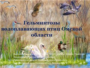 Гельминтозы водоплавающих птиц Омской области
