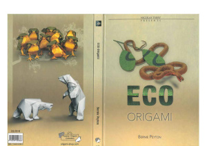 Peyton B. Eco Origami