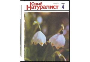 Юный натуралист 1995 №04