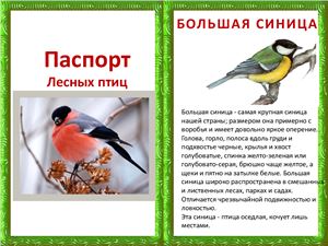 Паспорт лесных птиц