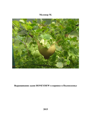 Мелонер М. Выращивание дыни HONEYDEW в парнике в Подмосковье - 2015