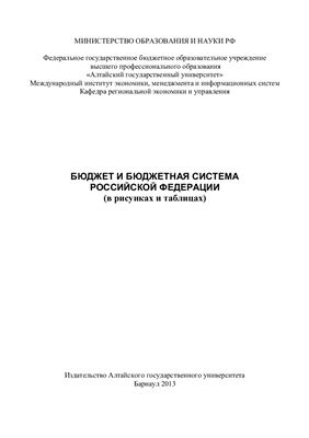 Стрижкина В.Н., Стрижкина И.В. Бюджет и бюджетная система Российской Федерации