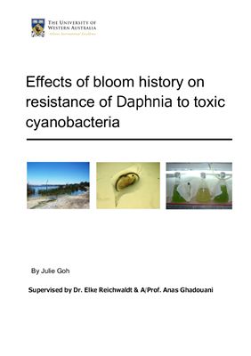 Goh J. Эффекты сопротивления дафний токсичным цианобактериям. Effects of bloom history on resistance of Daphnia to toxic cyanobacteria