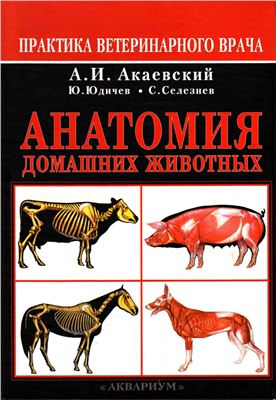 Акаевский А.И., Юдичев Ю.Ф., Селезнев С.Б. Анатомия домашних животных