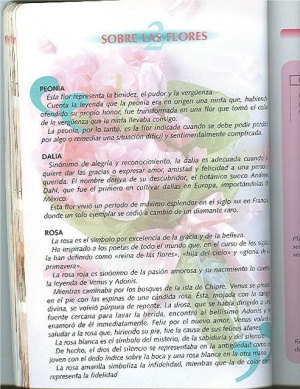 Taller de Artesania. Flores de Papel. Цветы из бумаги