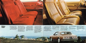 Buick. 1979