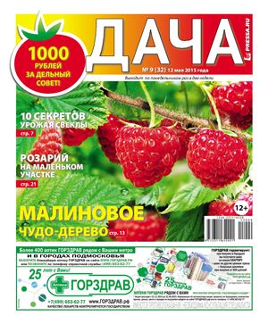 Дача Pressa.ru 2015 №09