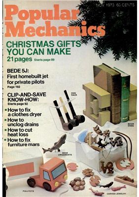 Popular Mechanics 1973 №11