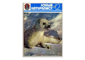 Юный натуралист 1980 №12