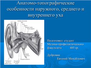 Анатомо-топографические особенности наружного, среднего и внутреннего уха