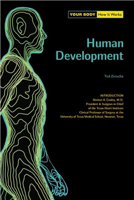 Zerucha T. Human Development