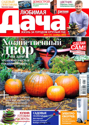 Любимая дача 2010 №11 (39) октябрь (Украина)