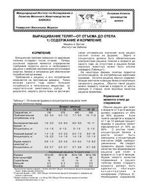 Ваттио М. Выращивание телят от отъёма до отёла