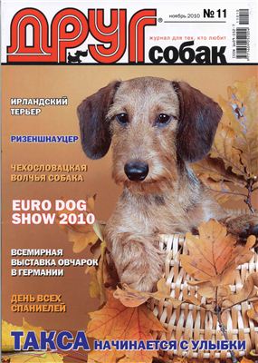 Друг. Журнал для любителей собак 2010 №11