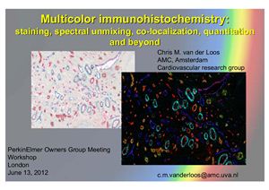Van der Loos C.M. Multicolor immunohistochemistry: staining, spectral unmixing, co-localization, quantitation and beyond