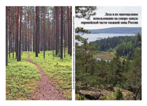 Громцев А.Н. Леса и их многоцелевое использование на северо-западе европейской части таежной зоны России