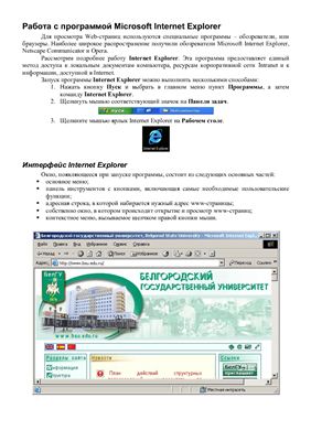 Лабораторные по информатике Internet Explorer