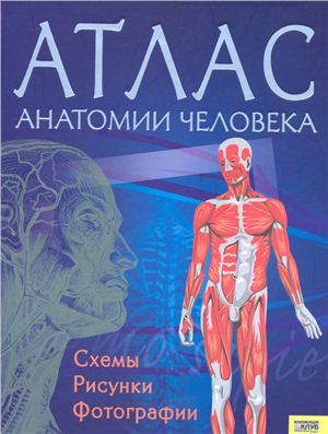 Севостьянова И. и др. Атлас анатомии человека