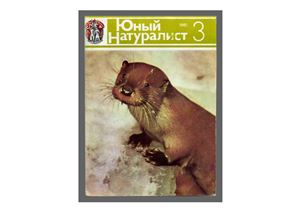 Юный натуралист 1981 №03