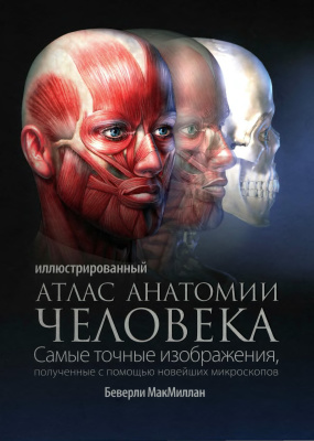 МакМиллан Б. Иллюстрированный атлас анатомии человека