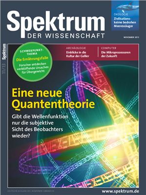 Spektrum der Wissenschaft 2013 №11
