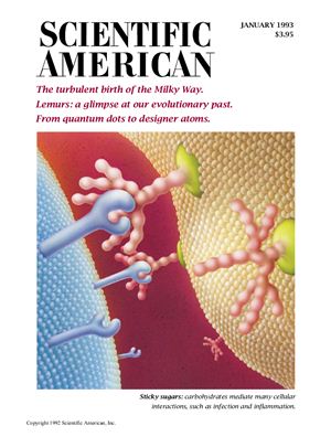 Scientific American 1993 №01