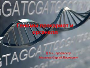 Геномы прокариот и органелл