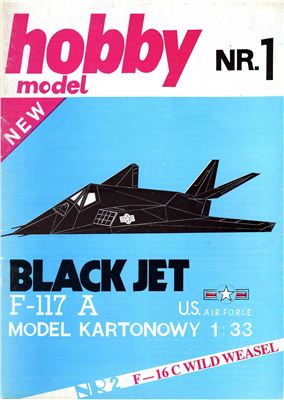 F-117A Black Jet