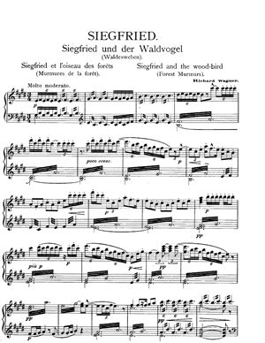 Wagner - Siegfried und das Waldvogel (aus der Oper Siegfried)